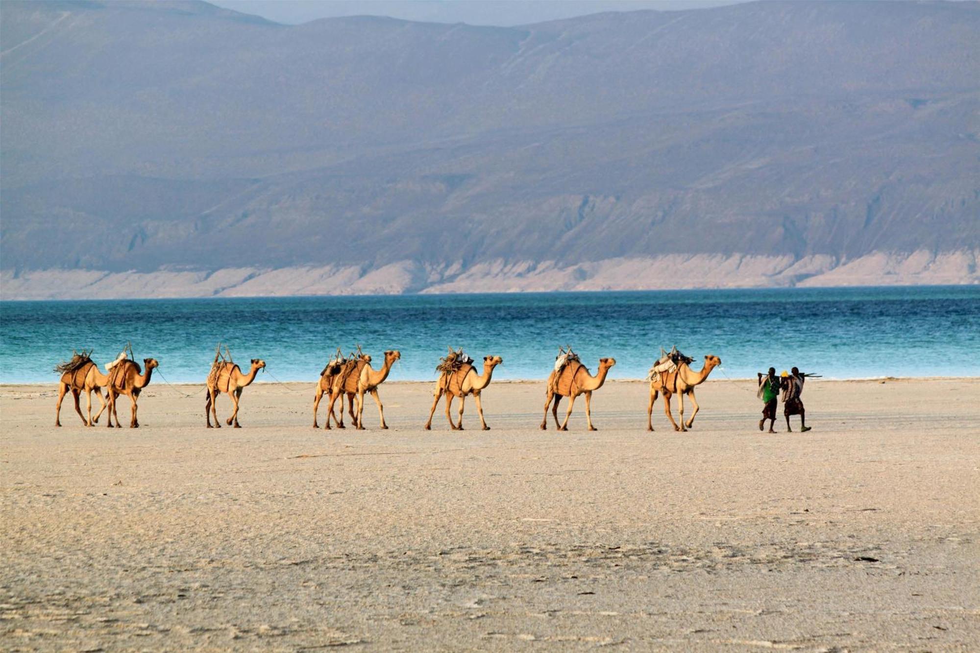 Djibouti Palace Kempinski Djibouti City Екстериор снимка